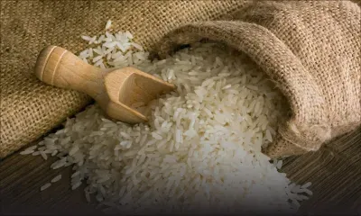 Produits alimentaires : pourquoi le riz ration trouve toujours sa place dans l’assiette des Mauriciens