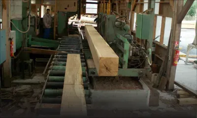 À La Caverne No 2 : le vacarme d’une scierie stresse la famille Golaub