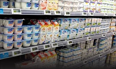 Dahi, Yop, Silhouette, Perrette, Candy Up…Nouvelle hausse des produits laitiers à partir du 8 novembre