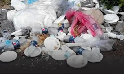 Petit-Camp: la route souillée