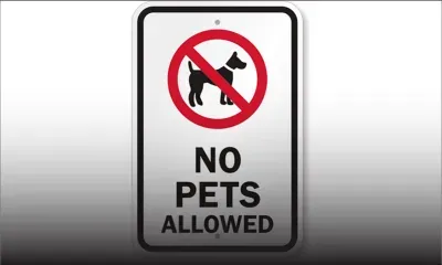 Highlands : «Défense de promener les chiens sur les terrains de football»