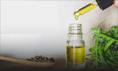 Reclassification approuvée par l’ONU - Cannabis thérapeutique : la décision du GM attendue