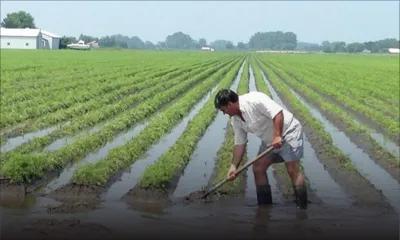 Intempéries : ces activités affectées par les fortes pluies