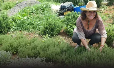 Rivière-du-rempart : Là où feuilles et fleurs poussent … au gré du temps