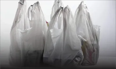 Contrefaçon : de faux sacs biodégradables mis en circulation