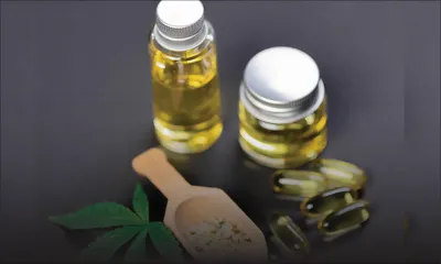 Priorité de 2024 : CLAIM Mauritius fait pression pour la création d’une industrie du chanvre