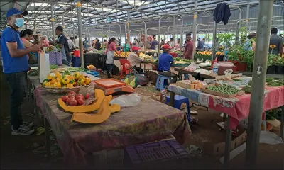Légumes : quel… bazar !