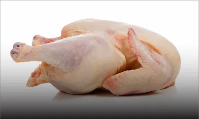 Prix du poulet : la CAP accroche Panagora Marketing