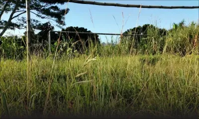 À Sébastopol : l’état du terrain de foot déploré 