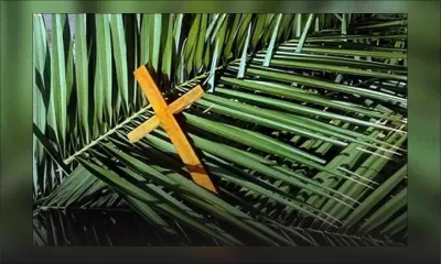 Confinement : un dimanche des Rameaux pas comme les autres