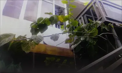 Problème de voisinage : des travaux d’aluminium et un élevage de poulets dérangent