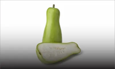 À Montagne-Longue : 100 kg de calebasses volés