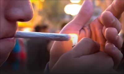 Cannabis: faut-il dépénaliser ?