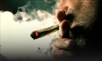 Selven Govinden: «Explorons l’option du cannabis à usage médicinal»