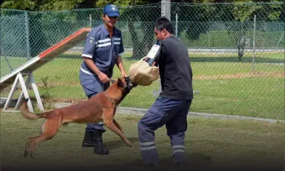 Grande première pour la police: deux femmes à la Dog Section