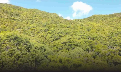 Environnement : l’état de la faune et de la flore inquiète !