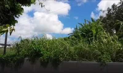 Bonne nouvelle - Camp-Caval : le terrain en friche de la CWA a été nettoyé