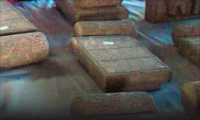 Jayrani Anseline: elle a fait de la roche son fonds de commerce