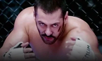 Sultan: un ouragan au box-office