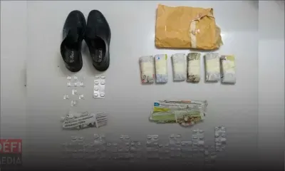 Résidences Briqueterie et La Cure : 600 comprimés de Subutex saisis 