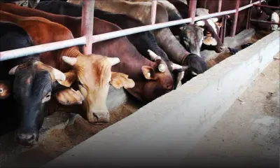 Crise économique et pandémie : comment font les sociétés coopératives pour s’en sortir ?