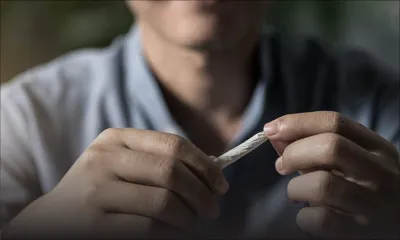 Moins de répression contre les fumeurs du gandia souhaitée