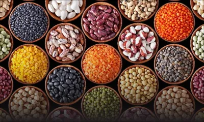 Consommation - Grains secs : prix en baisse, ventes stables