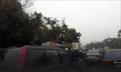 Phoenix: circulation interrompue après la chute d’un arbre