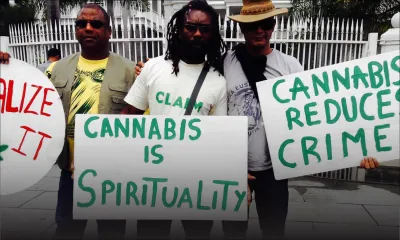 La bande à Jameel Peerally réclame la légalisation du gandia