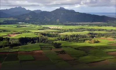 Le gouvernement étudie les options pour pérenniser l’industrie cannière  