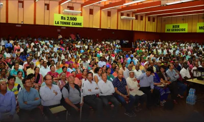 Agriculture : les petits planteurs réclament Rs 2 500 par tonne de cannes