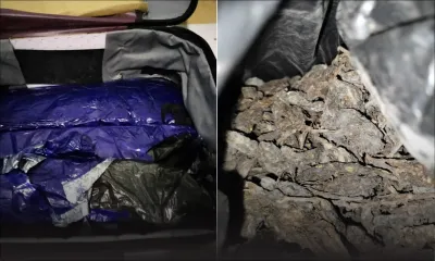 Deux Indiens arrêtés avec Rs 3,4 millions de gandia