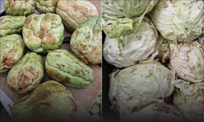 Allégations d’insalubrité et aliments avariés : descentes quotidiennes du département sanitaire dans les cuisines des hôpitaux