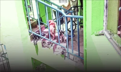 Beau-Vallon : le problème de chiens à la NHDC reste entier 