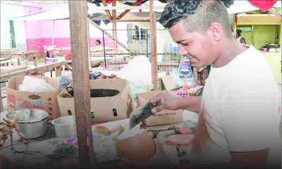 Après deux licenciements : Meesha devient marchand de noix de coco 