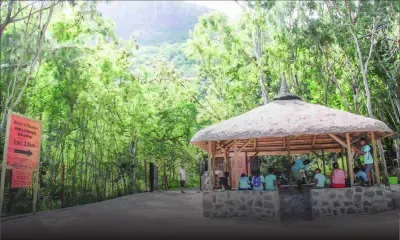 Summer School Holidays : the best time of the year