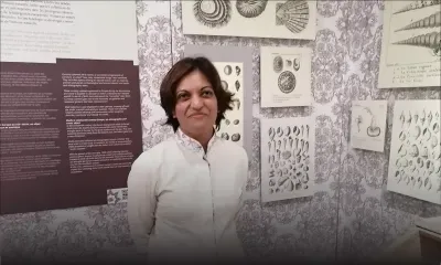 World of Seashells, à Bel Ombre : à la découverte du plus grand musée du coquillage d’Afrique  