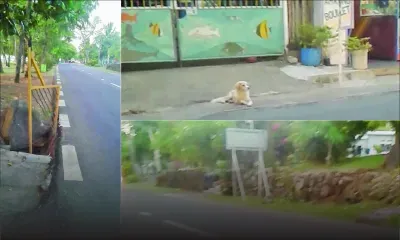 Au Morne : des mains courantes réclamées