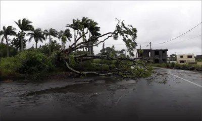 Tempête Carlos : une cinquantaine d’interventions des pompiers depuis dimanche