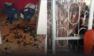 Vengeance alléguée : une maison vandalisée à cause d’un singe