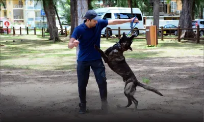 Tinagaren Govindasami : un dresseur qui a du… flair