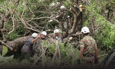 Décès d’un chauffeur d’autobus : le protocole d’alerte cyclonique remis en question