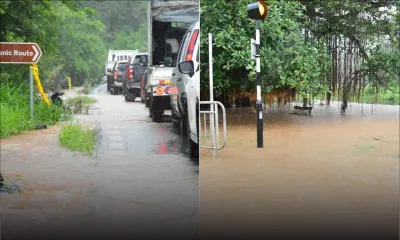 Recrutement d’un énième consultant - Eau : chronique d’une gestion défectueuse de 10 ans