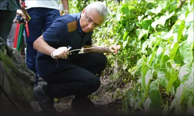 Environnement - Pravind Jugnauth : «Les Mauriciens sont irresponsables»
