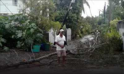 Intempéries : un arbre s'abat sur la route à Bain-Bœuf, des fils électriques par terre