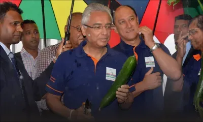 Culture protégée : des diplômés cultivent la terre