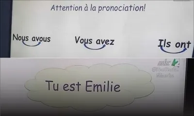 Coquilles détectées dans les cours à la télé : «Ce sont des fautes de frappe», selon Vinod Seegum