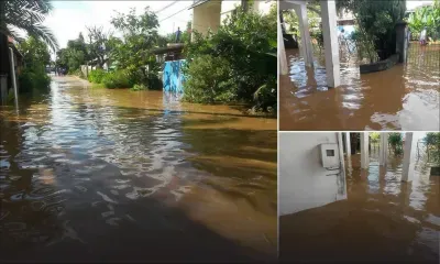 À l’Escalier: une odeur putride envahit le Morcellement Tagore