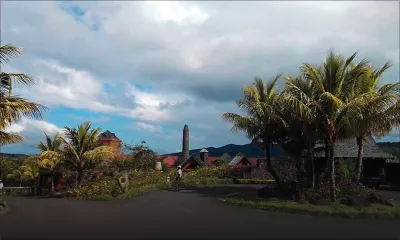 Production locale: les recettes d’exportation des rhumeries en hausse