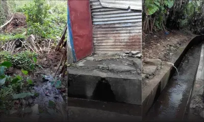 À Vieux-Grand-Port: une famille dit être dérangée par un élevage